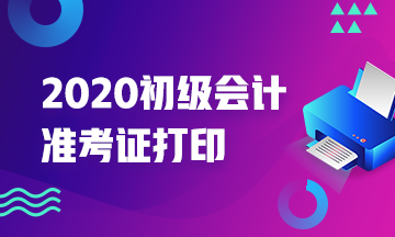 浙江丽水市怎么打印2020年初级会计考试准考证？